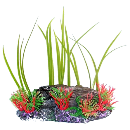 N1 Растение Осот и водоросли на коряге, 14х10х15 см – интернет-магазин Ле’Муррр