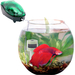 Aqua El GOLD-FISH Аквариум для золотой рыбки – интернет-магазин Ле’Муррр