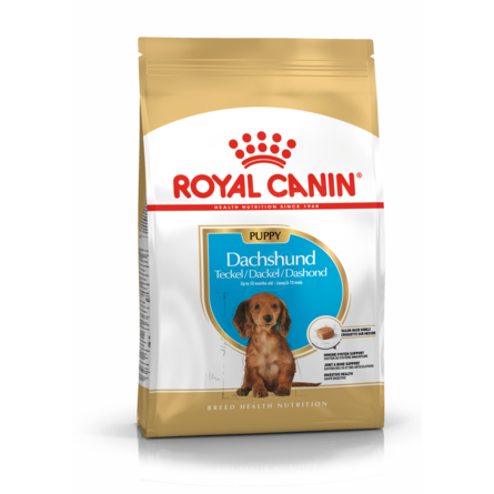 Royal Canin Junior Dachshund Сухой корм для щенков породы Такса – интернет-магазин Ле’Муррр