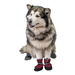 Дарэлл Обувь утеплённая для собак, бордовая (пара) – интернет-магазин Ле’Муррр