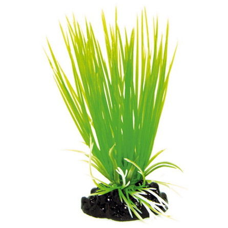 DEZZIE Искусственное растение, пластик, 10 см – интернет-магазин Ле’Муррр