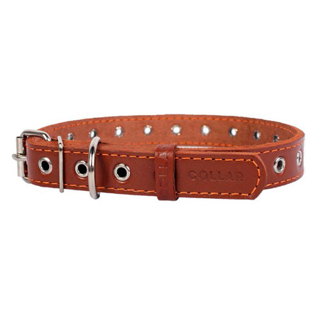 Collar Ошейник для собак безразмерный, ширина 2 см, длина 50 см, коричневый – интернет-магазин Ле’Муррр